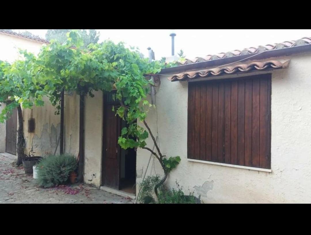 פולינה Linati'S Apartments מראה חיצוני תמונה