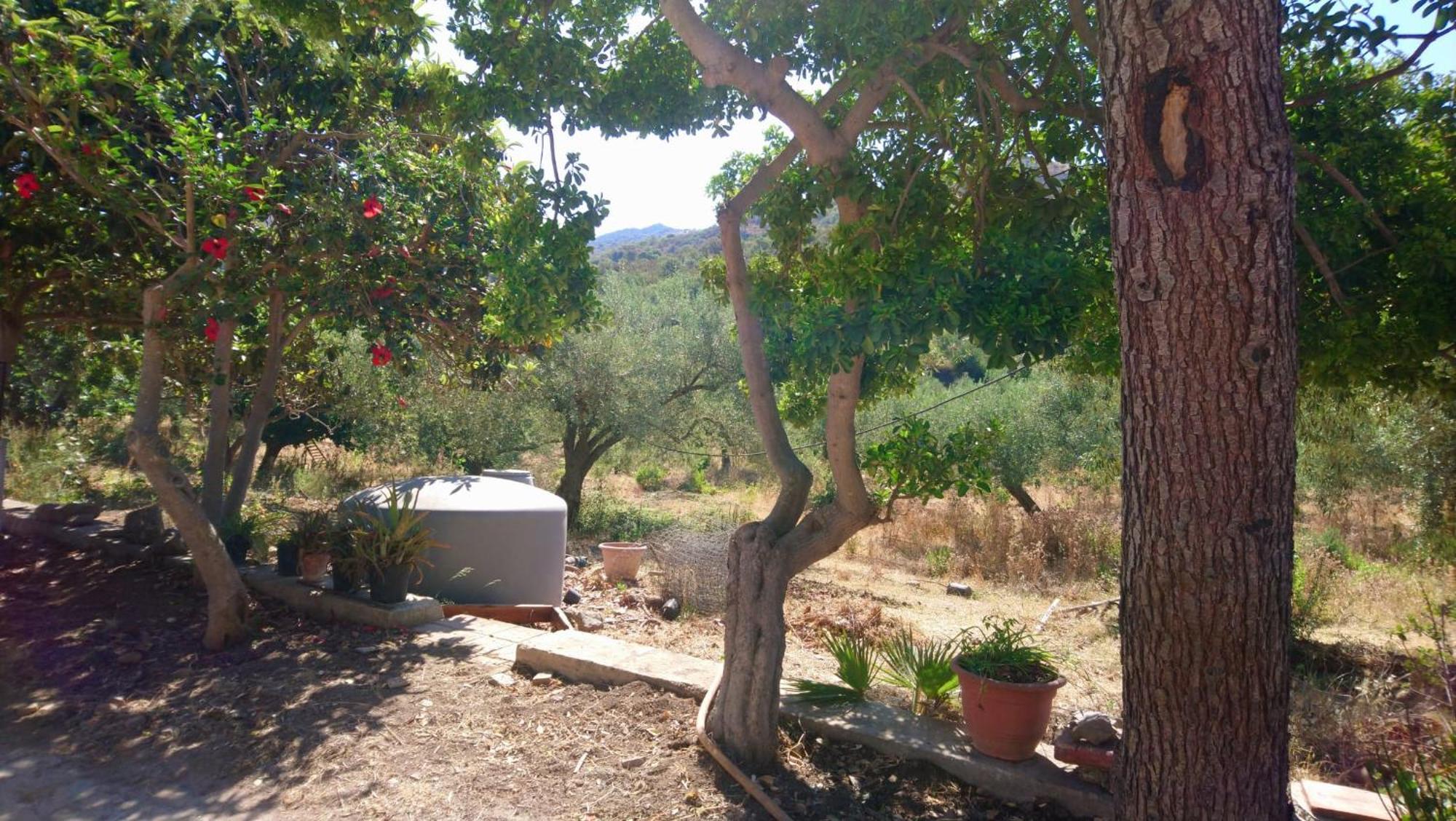 פולינה Linati'S Apartments מראה חיצוני תמונה
